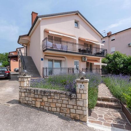 Apartment Masha Novigrad Istria 外观 照片