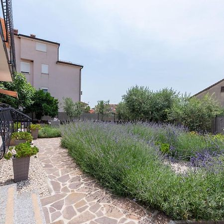 Apartment Masha Novigrad Istria 外观 照片
