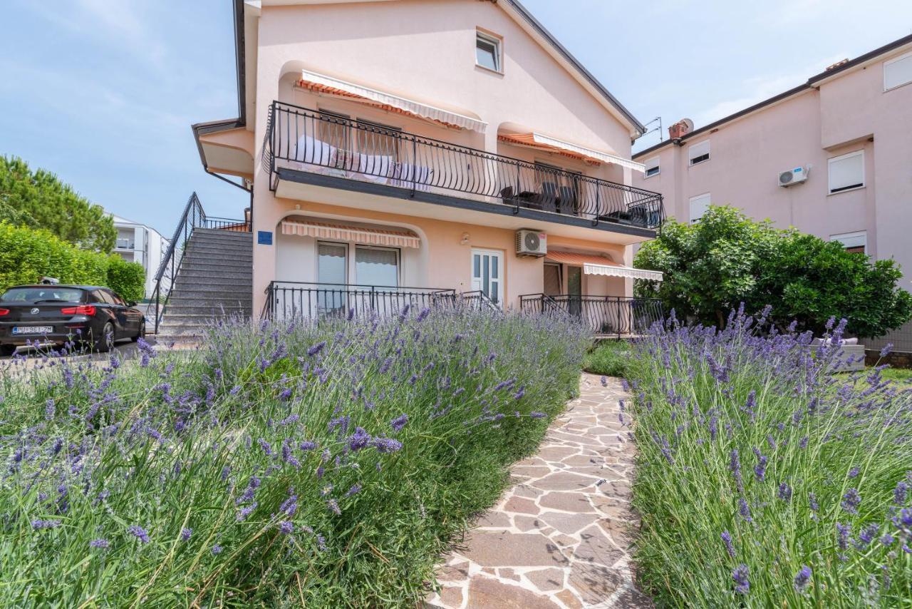 Apartment Masha Novigrad Istria 外观 照片