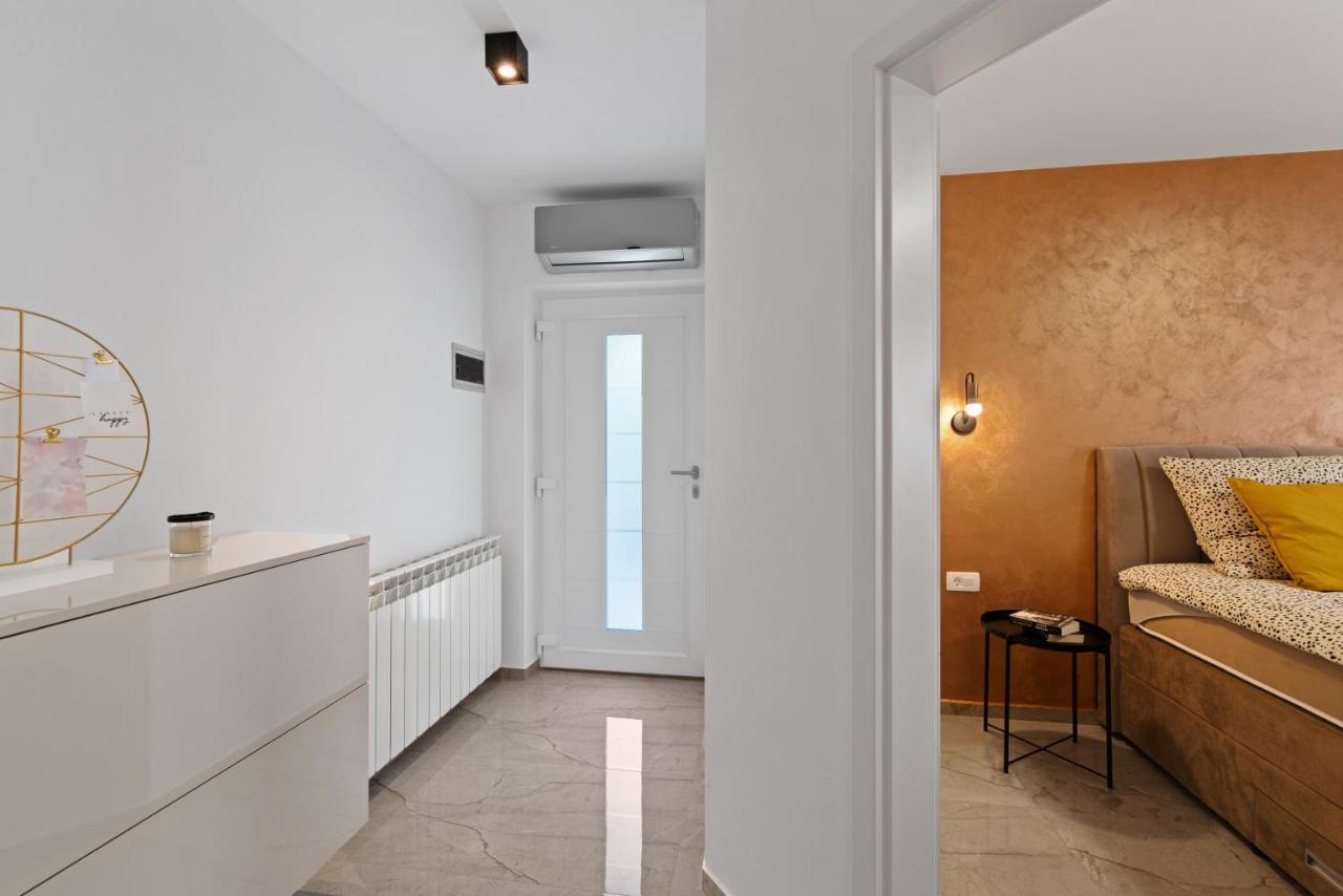 Apartment Masha Novigrad Istria 外观 照片