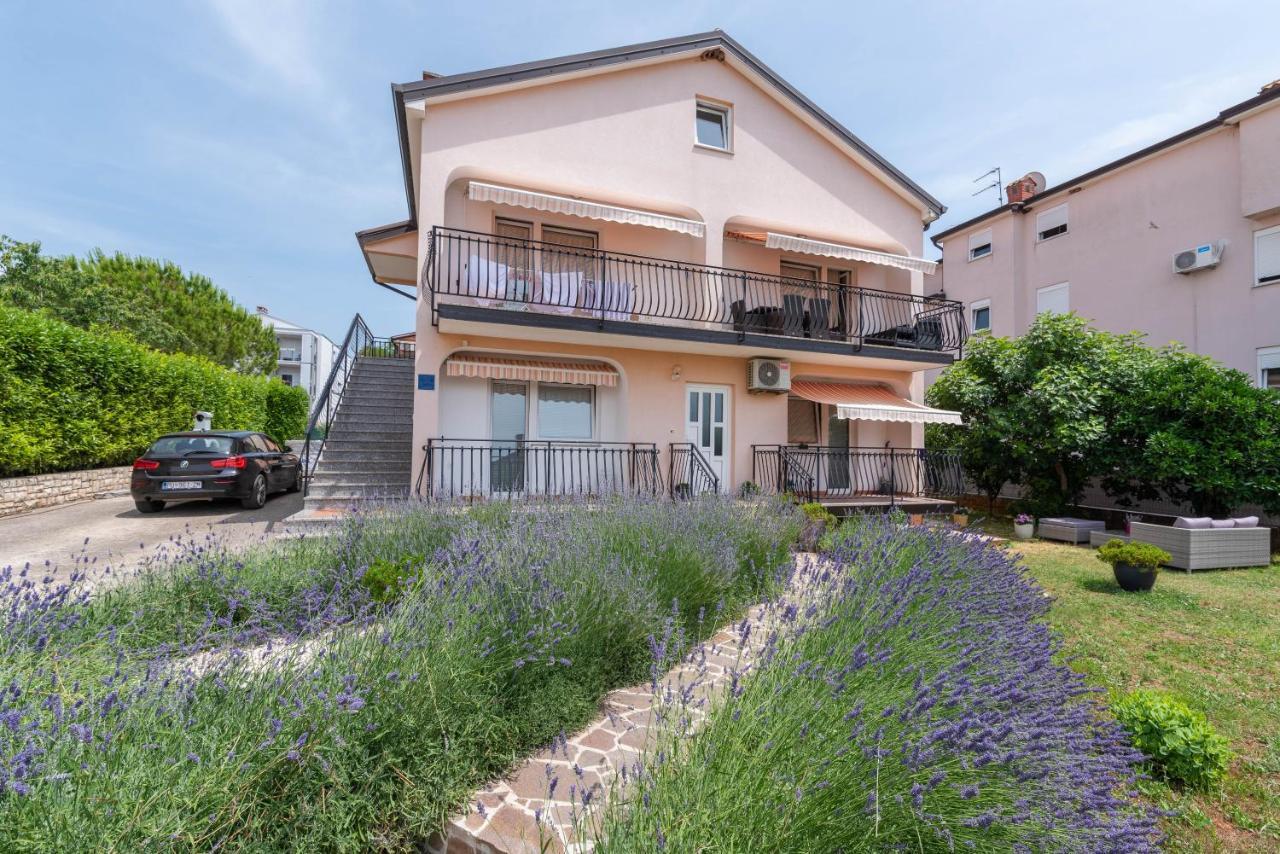 Apartment Masha Novigrad Istria 外观 照片