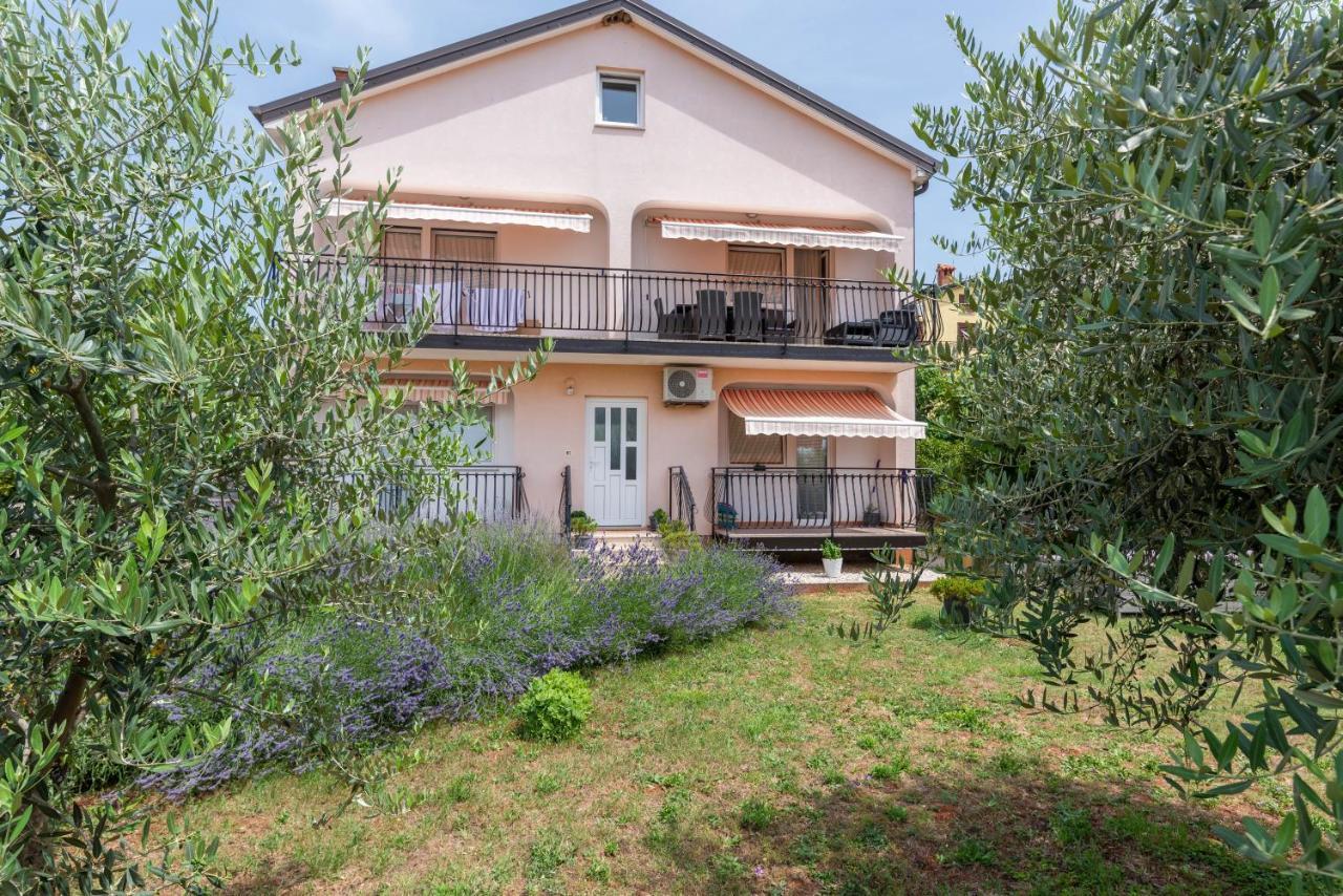 Apartment Masha Novigrad Istria 外观 照片
